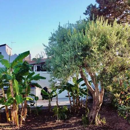 Villa Mare Blue Sr Nuovissima Villa 150M Dal Mare Adatta A Bambini Terrauzza Exterior foto